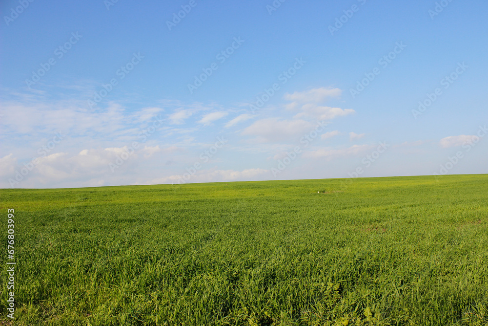 green fields with blue sky background