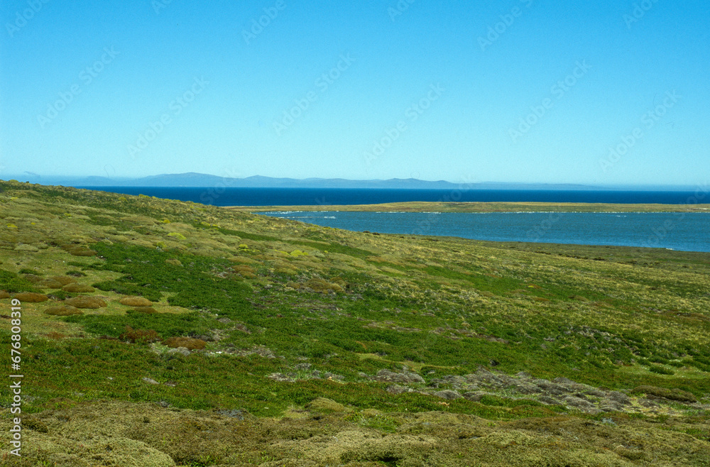 Volunteer Point , Est Falkland, Iles Falkland, Malouines Volunteer Point , Est Falkland, Iles Falkland, Malouines