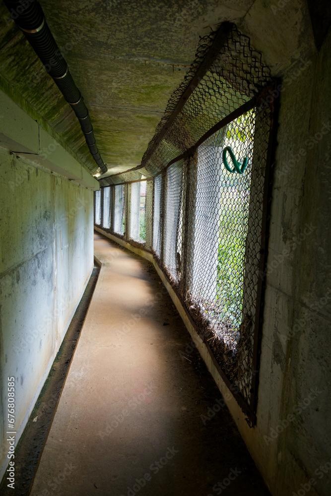 黒部渓谷下ノ廊下の仙人谷ダムの中のトンネル