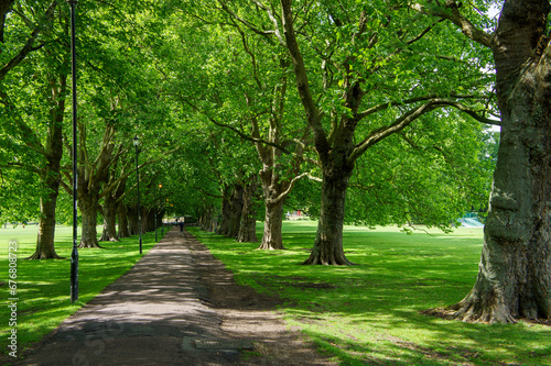 path in the park