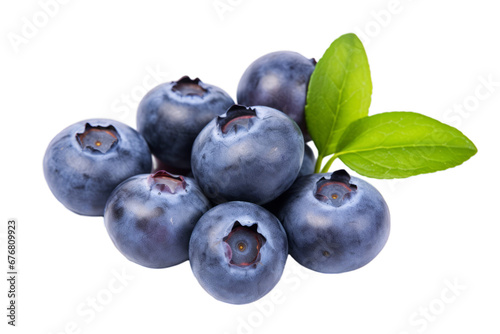 Blueberries on white transparent background