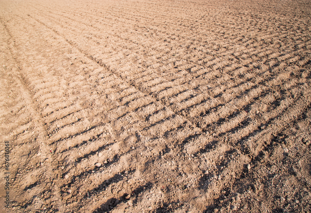 Naklejka premium plowed soil in a field during preparation for onion seed sowing in Bangladesh