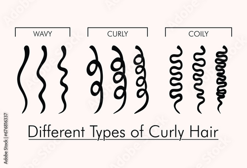 Types of Curly Hair. Kinky vs Coily. Female hairstyle vector illustration.