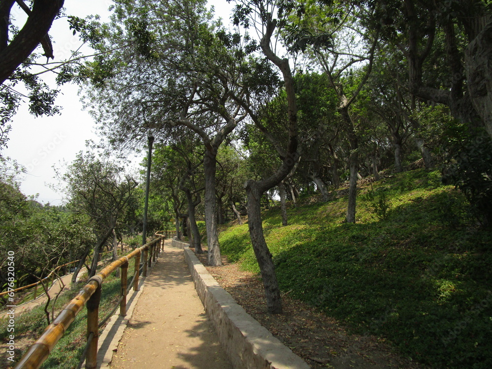 Parque Loma Amarilla. Parque público en el distrito de Santiago de Surco. Ciudad de Lima, Perú. Parque Loma Amarilla. Parque público en el distrito de Santiago de Surco. Ciudad de Lima, Perú.