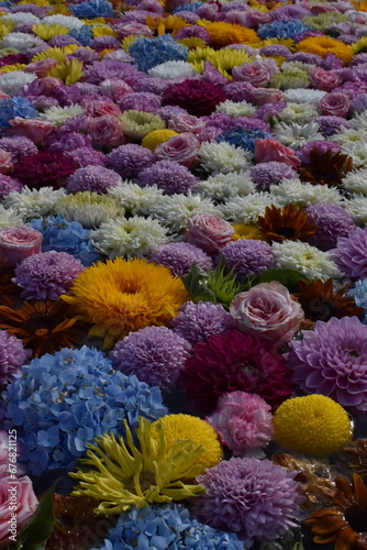 The front water pond with full of colorful beautiful flowers at the Takino shrine temple in Sapporo Japan