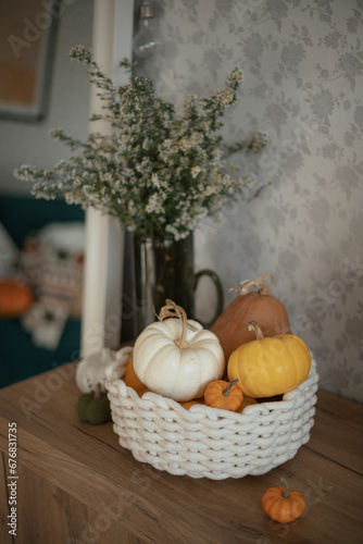 Still life with cute decorative pumpkins