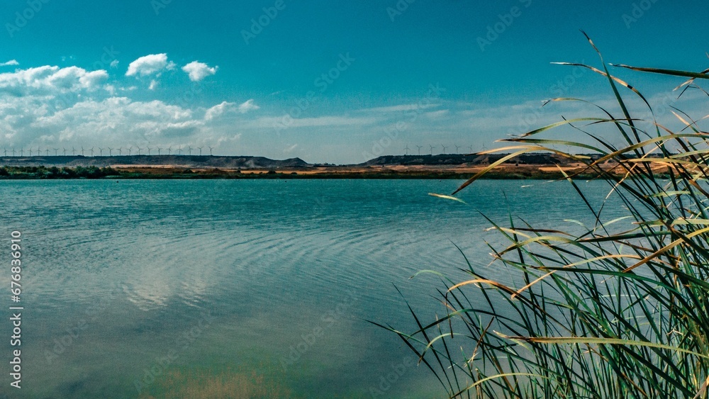 Scenic blue lake with bended grasses on the lakeshore