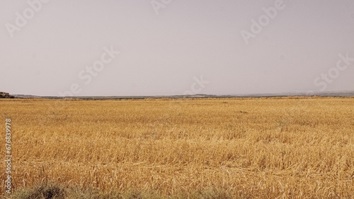 Beautiful shot of a dry field in a countryside