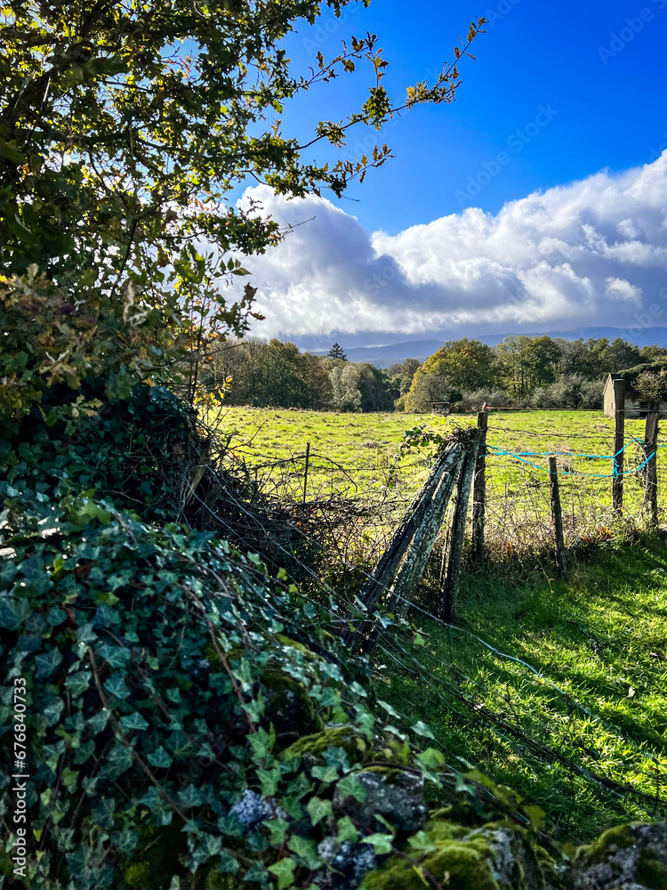 beautiful landscape with a tree and a fence beautiful landscape with a tree and a fence