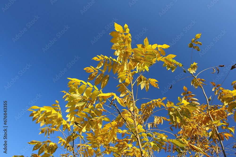 Altai mountains. Autumn landscape. Sunny day in mountains. Altai mountains. Autumn landscape. Sunny day in mountains.