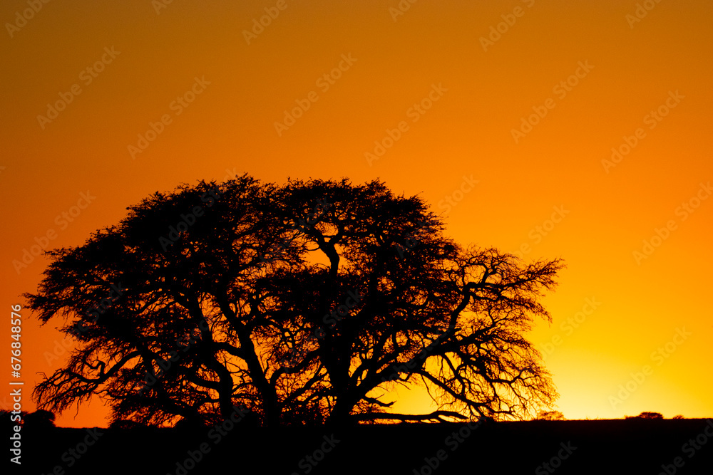 Sunset in the Kalahari desert