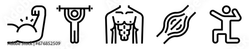 Conjunto de iconos de sistema muscular. Culturismo y gimnasio. Bíceps, levantamiento de pesas, torso masculino, músculo, pose de culturismo. Ilustración vectorial