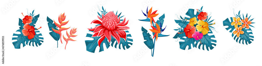 Obraz premium Set of tropical flowers, exotic collection with monstera leaves. Hibiscus, plumeria, bird of paradise, etlingera, heliconia bihai, red palulu. Vector illustration.