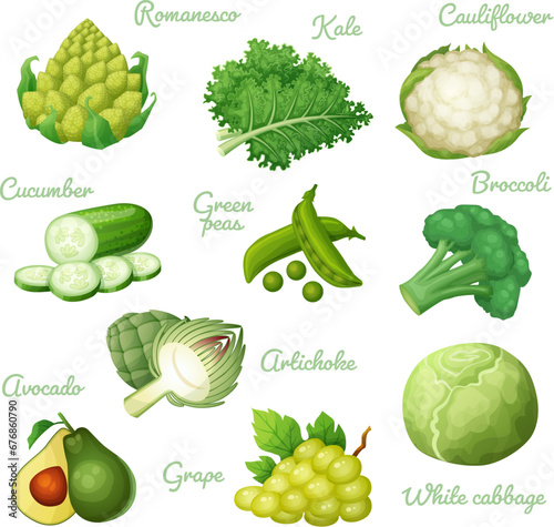 Green vegetables vector icons collection isolated on white background. Fresh green food set of cartoon illustrations, healthy vegetables cucmber, avocado grape, white cabbage kale leaves, green peas 