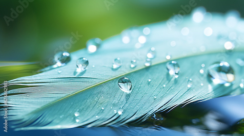 gentle white air feather with water drops lying on a wet ground