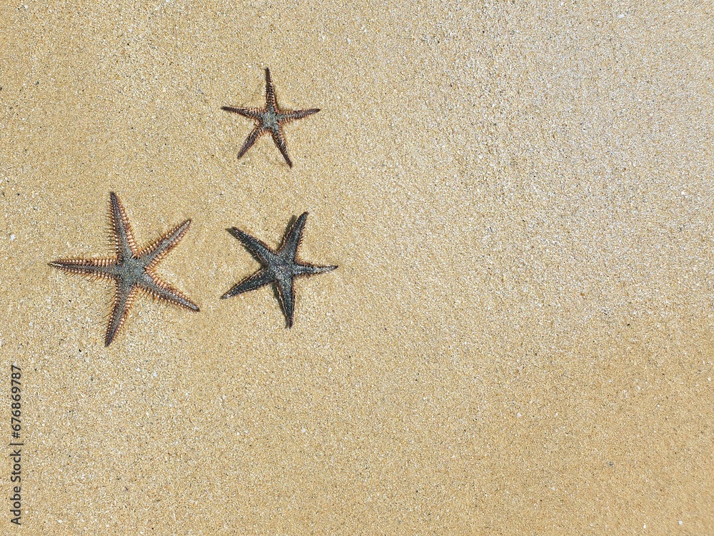 three starfish on sand background at the beach three starfish on sand background at the beach