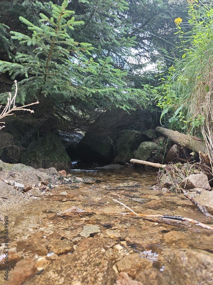 Obraz premium Strumyk 