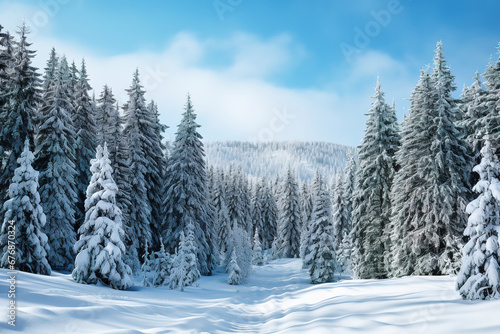 wallpaper of snow covered pine trees during daytime © Uwe