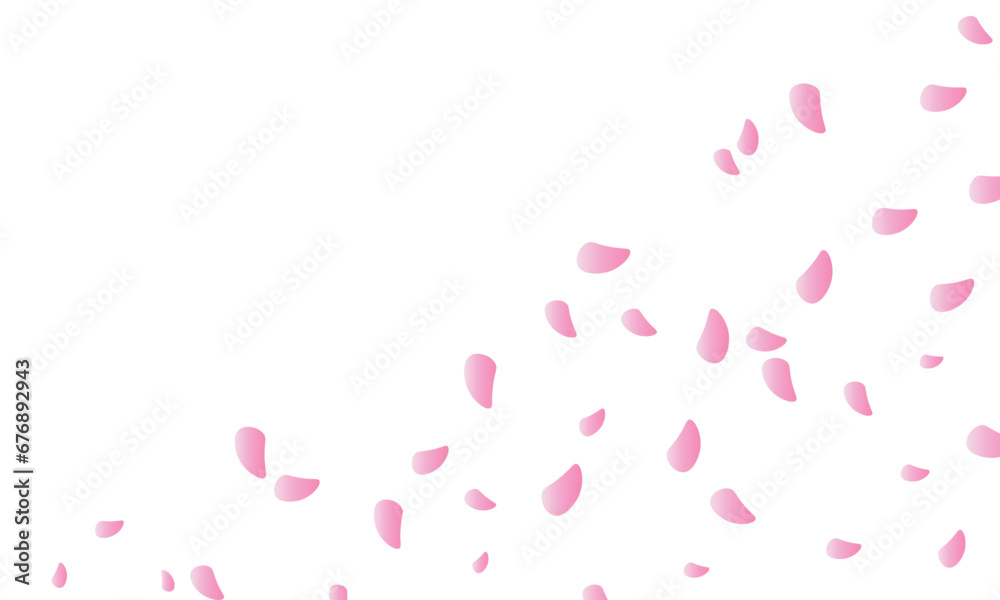 falling sakura petals on a transparent background. pink flower petals falling sakura petals on a transparent background. pink flower petals