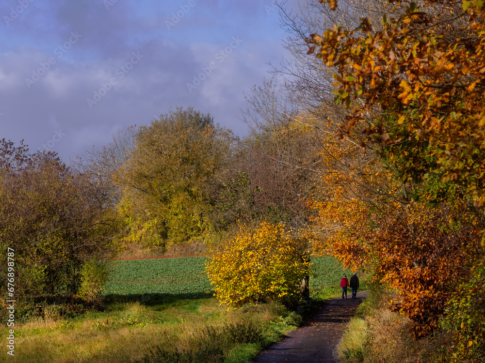 Prächtiger Herbst in der Natur in Marburg, Wälder und Felder Prächtiger Herbst in der Natur in Marburg, Wälder und Felder