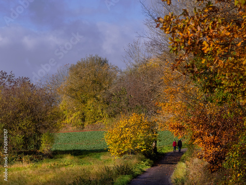 Pr  chtiger Herbst in der Natur in Marburg  W  lder und Felder