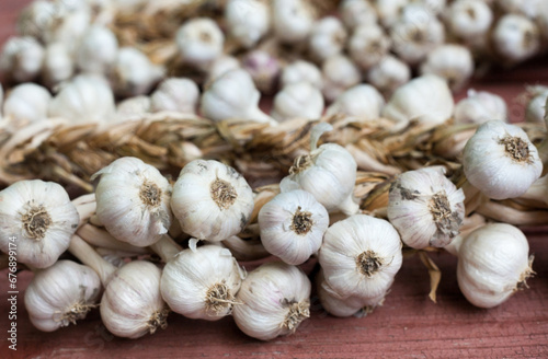 Garlic wreaths. Rich harvest.