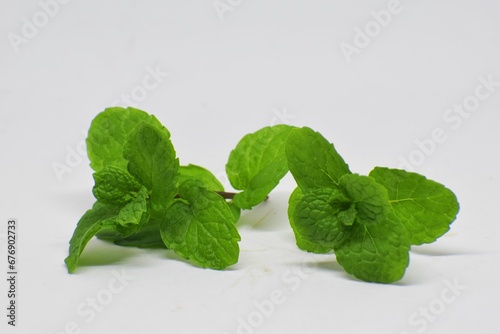 Mint leaves isolated on whit ebackground photo