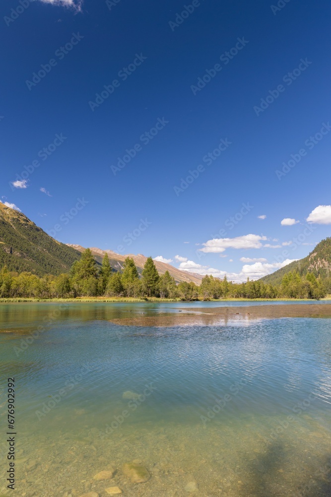 View of transparent water of mountain lake surrounded by pine trees in green valley on national park View of transparent water of mountain lake surrounded by pine trees in green valley on national park
