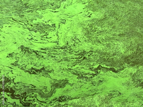 Green algae bloom covered river water. 