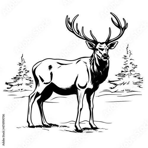Elk Silhouette Vector