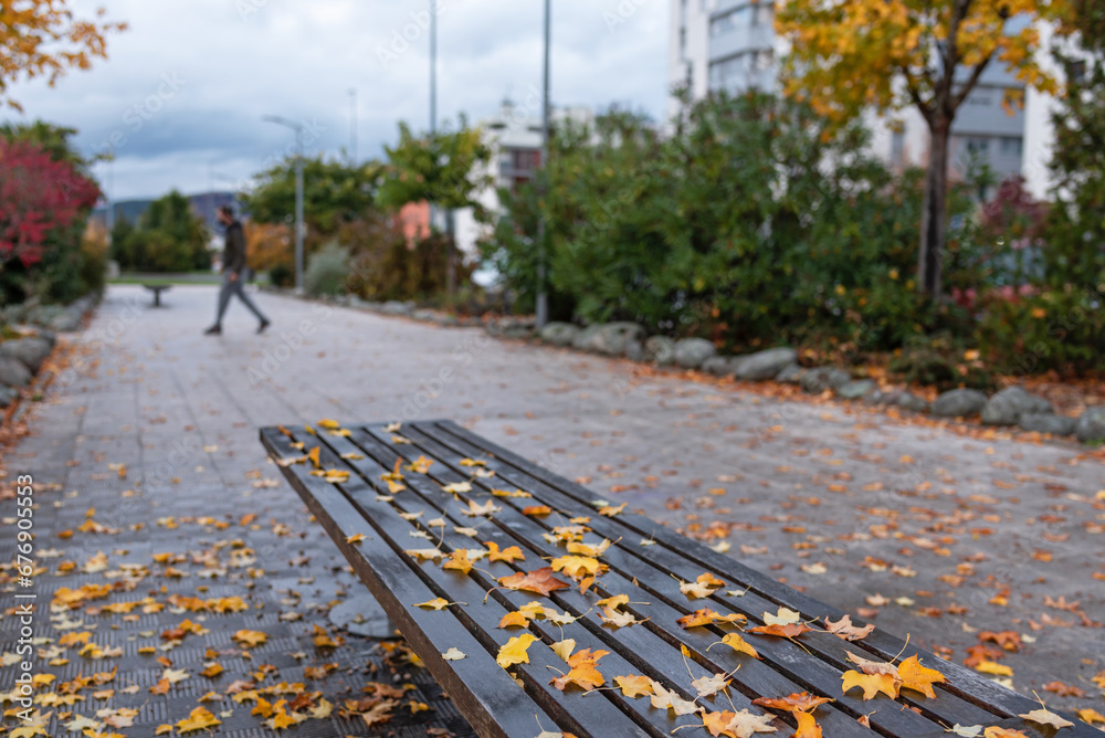 Autumn leaves on the bench