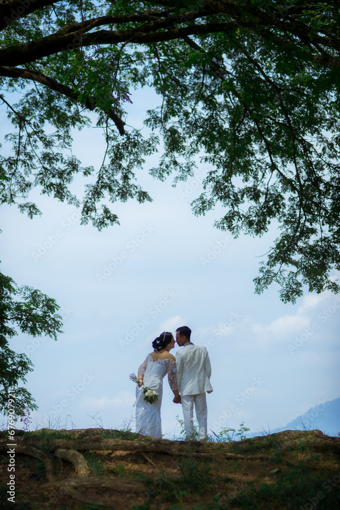 portrait of a bride and groom or happy couple holding hands romantically under a shady tree wearing a white wedding dress. In the photo outdoors with a blue sky background and back to light portrait of a bride and groom or happy couple holding hands romantically under a shady tree wearing a white wedding dress. In the photo outdoors with a blue sky background and back to light