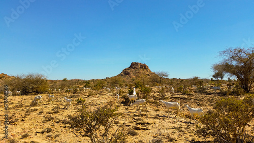 Laas Geel, Somalia photo