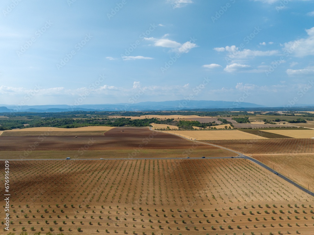 Lavender Field - Valensole, France