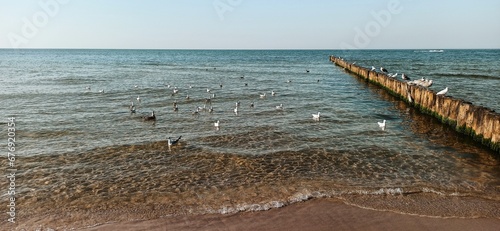 Morska plaża. 