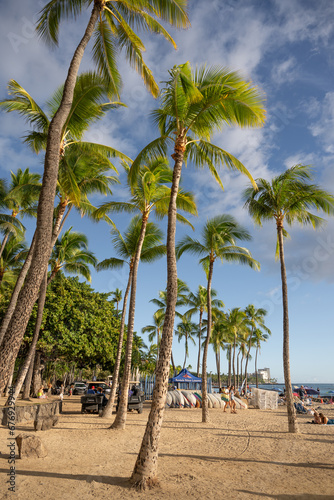 palm trees on the beach © Bryan Kelley