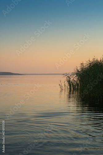 The sun rises or sets over a river with thickets of reeds. © Dmytro