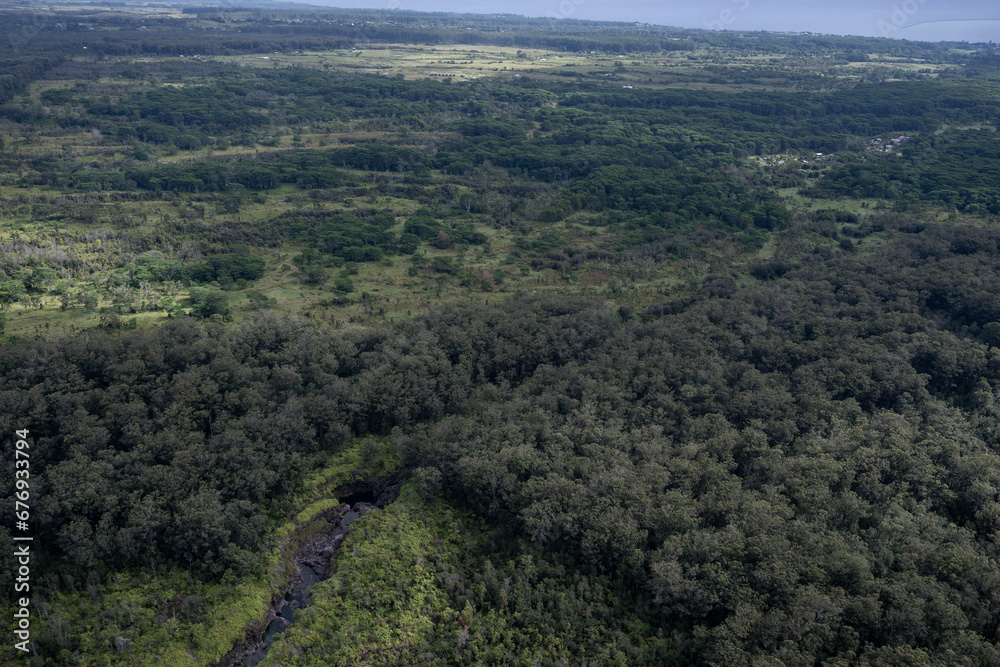 Aerial of rainforest