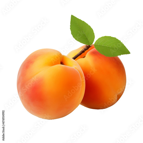 Apricot fruit with a complete, unblemished body against a clear, transparent backdrop.