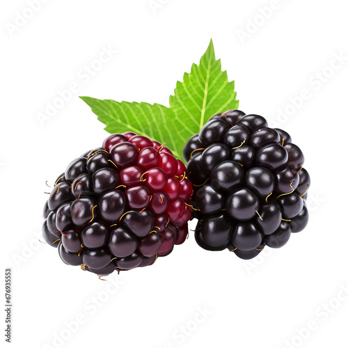 Blackberry illustartion, ripe dark purple berry, detailed texture, isolated full body fruit, no background