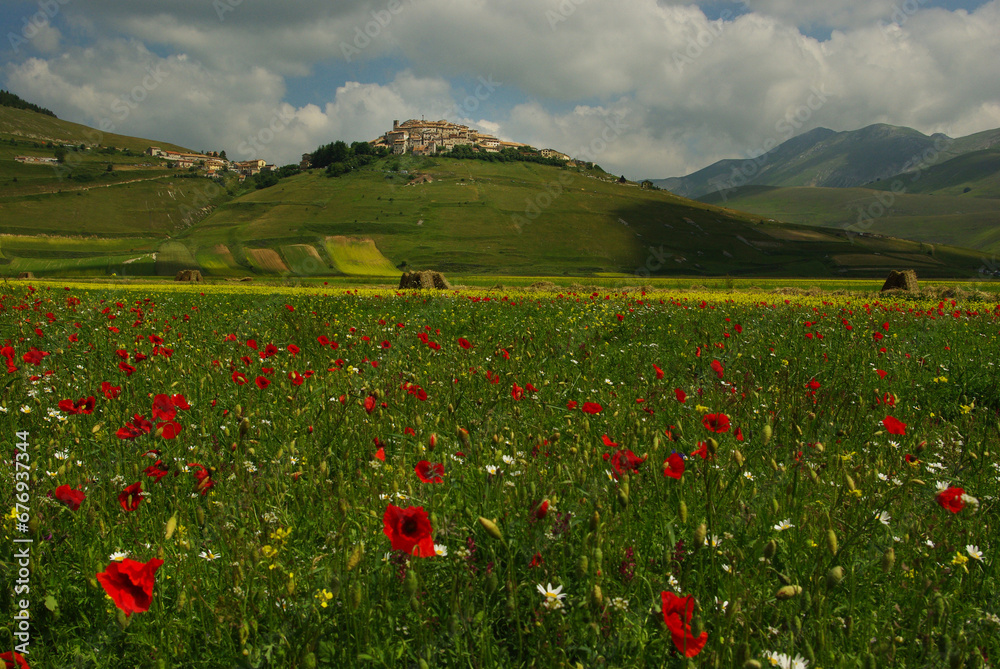 Castelluccio di Norcia plateau, Umbria -  Italy - In the foreground a bloom of poppies and wildflowers, in the background the small mountain village