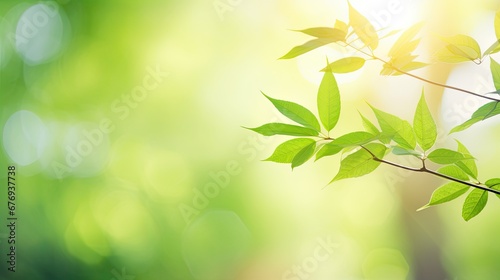 Beautiful green leaves on blurred background  space for text. Spring season