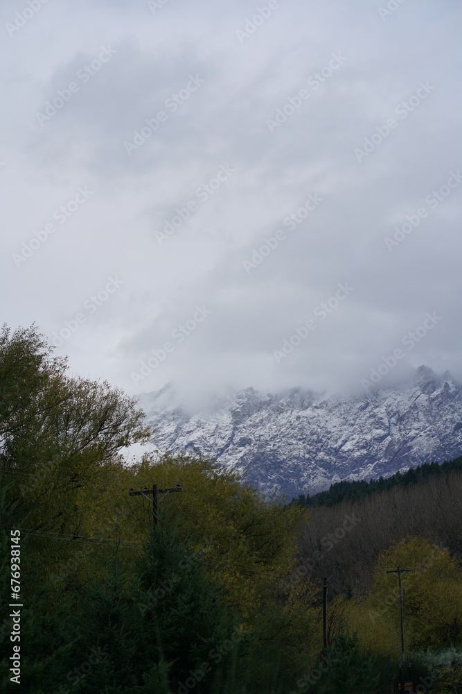 pine trees with snowy mountain in winter