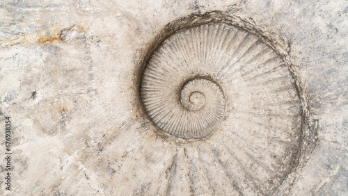 Abstract background with ancient prehistoric ammonite fossils. Fossil spiral mollusk close-up. Concept of archaeological excavations, geological research. Ammonite background top view.