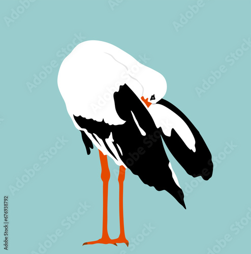 Washing body by beak elegant stork vector illustration isolated on blue background. Visitant migration bird stork cleaning feathers and wings. Water echo system. Animal bird hygiene.