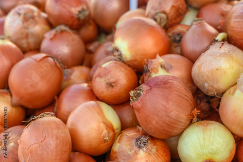onions piled in a pile at the local market 1