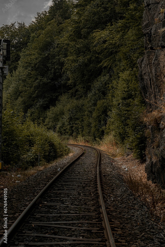 Vertical dramatic shot of the railway trails in the green rainforest Vertical dramatic shot of the railway trails in the green rainforest