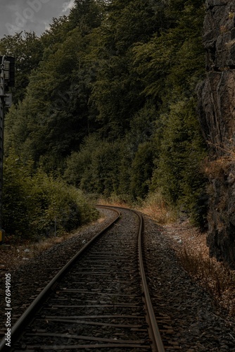 Vertical dramatic shot of the railway trails in the green rainforest