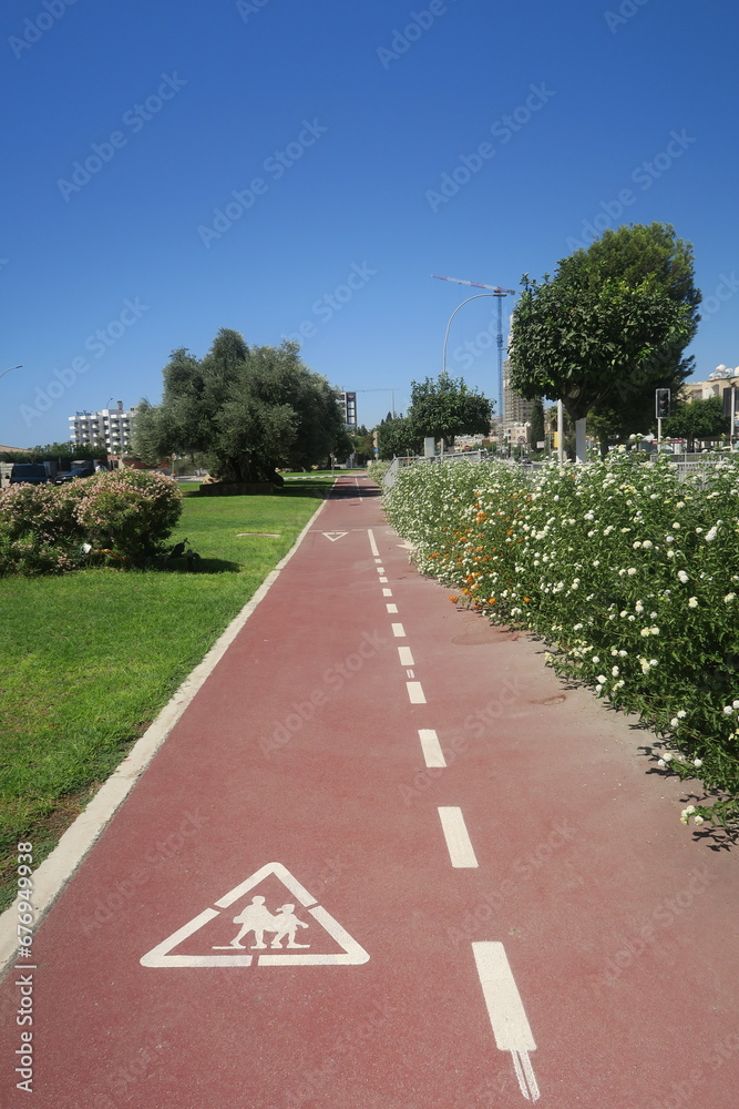 dense lawn grass. The green lawn is short-cropped dense lawn grass. The green lawn is short-cropped