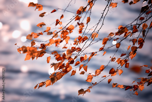 Fototapeta Naklejka Na Ścianę i Meble -  Krajobraz jesienny, staw i jesienne liście